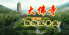 操女人的大逼黄色视频中国浙江-新昌大佛寺旅游风景区